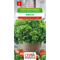 Seva Petržlen vňaťový - Kučeravý Krista  2 g