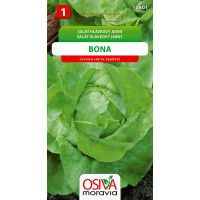 Seva Šalát hlávkový jarný - Bona 0,5 g