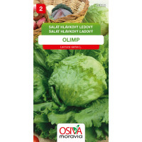 Seva Šalát hlávkový - Olimp 0,5 g