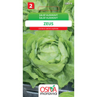 Seva Šalát hlávkový - Zeus 0,3 g