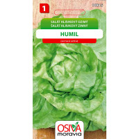 Seva Šalát hlávkový zimný - Humil 0,3 g 