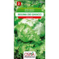 Seva Šalát hlávkový ľadový - Regina Dei Ghiacci 0,5 g
