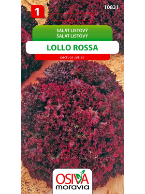 Seva Šalát listový - Lollo Rossa 0,5 g