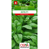 Seva Špenát siaty - Asta F1 5 g