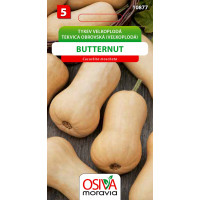 Seva Tekvica - Butternut 15 sem.
