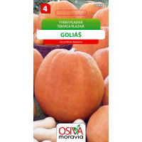 Seva Tekvica - Goliáš 8 sem.