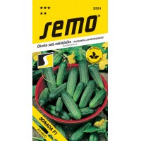 Semo Uhorka nakladačka hruboostná- Sonada F1 partenokarpická - HYBRID 1,5 g