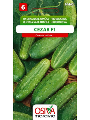 Seva Uhorka nakládačka - Cezar F1 - hruboostná 1,2 g