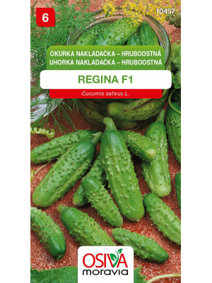 Seva Uhorka nakládačka - Regina F1 - hruboostná 1,2 g