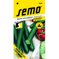 Semo Uhorka šalátová - Tribute F1 10 semien - HYBRID