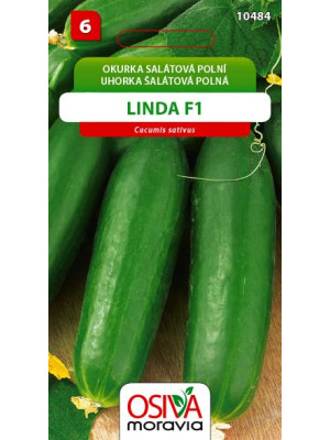 Seva Uhorka šalátová poľná - Linda F1 1 g - HYBRID