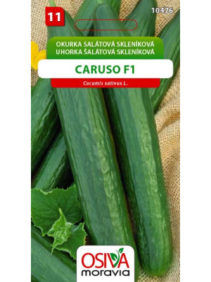 Seva Uhorka šalátová skleníková - Caruso F1 1 g - HYBRID