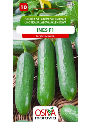 Seva Uhorka šalátová skleníková- Ines F1 10 semien - HYBRID