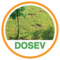 Trávna zmes na DOSEV na váhu (uvedená cena/kg)