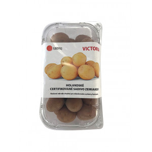 Holandská zemiaková sadba VIKTÓRIA - MINI HĽÚZY 1 kg